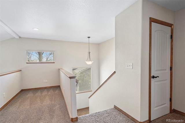 641 Denali Ct, Windsor, CO 80550 - corridor with an upstairs landing, carpet, and baseboards