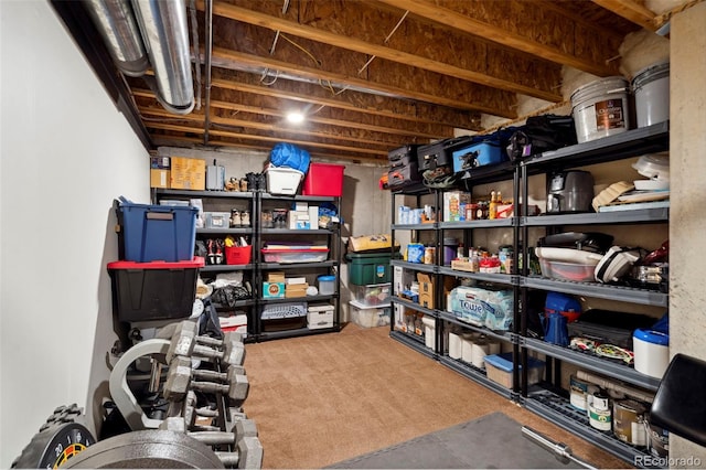 641 Denali Ct, Windsor, CO 80550 - view of storage room