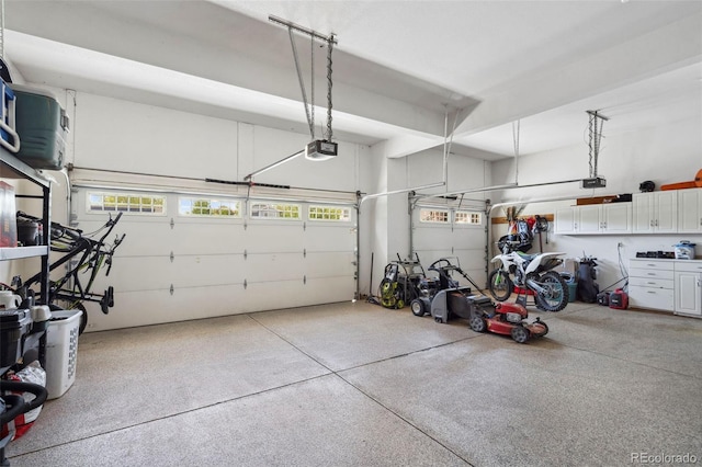 641 Denali Ct, Windsor, CO 80550 - garage with a garage door opener