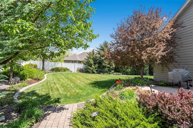 641 Denali Ct, Windsor, CO 80550 - photo 46
