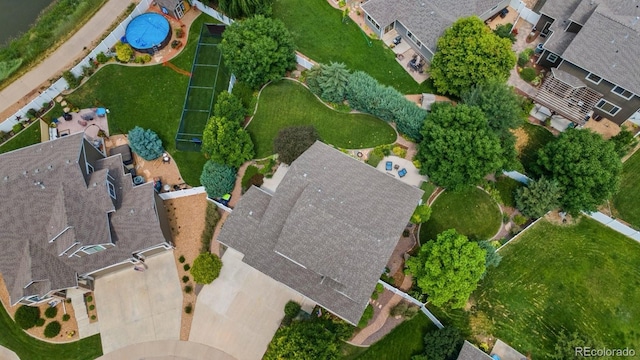 641 Denali Ct, Windsor, CO 80550 - photo 48