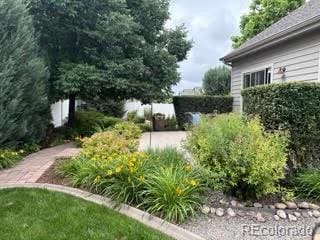 641 Denali Ct, Windsor, CO 80550 - photo 43