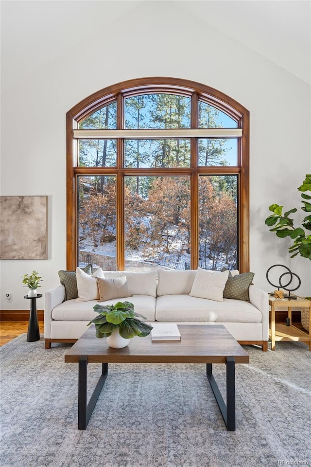 living room with hardwood / wood-style flooring and a wealth of natural light