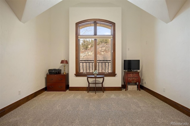 misc room featuring lofted ceiling and carpet floors