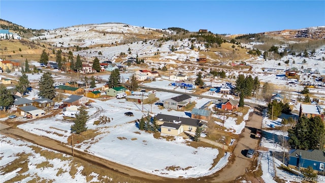 527 E Eaton Ave, Cripple Creek, CO 80813 - photo 3