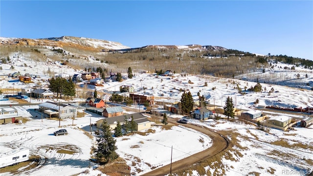 527 E Eaton Ave, Cripple Creek, CO 80813 - photo 4
