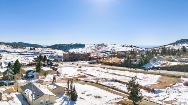 527 E Eaton Ave, Cripple Creek, CO 80813 - photo 6