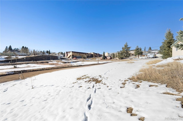 527 E Eaton Ave, Cripple Creek, CO 80813 - photo 10