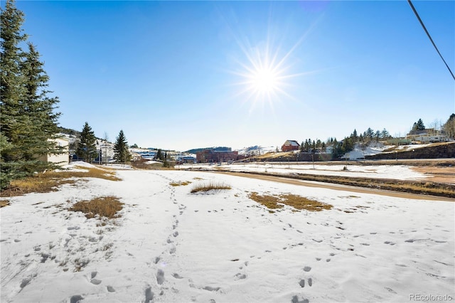 527 E Eaton Ave, Cripple Creek, CO 80813 - photo 11