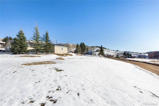 527 E Eaton Ave, Cripple Creek, CO 80813 - photo 12