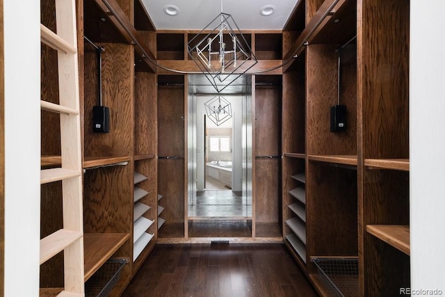 2535 W 115th Dr, Westminster, CO 80234 - walk in closet featuring dark wood-style floors