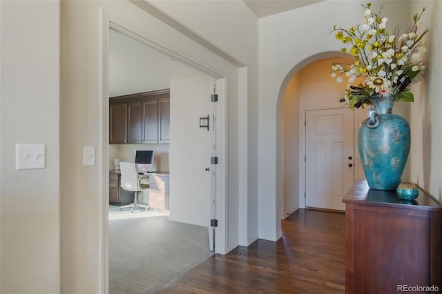 hallway featuring dark hardwood / wood-style flooring