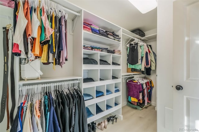 walk in closet featuring hardwood / wood-style flooring