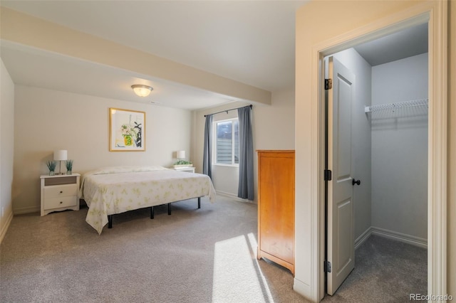 bedroom featuring a walk in closet, carpet floors, and a closet