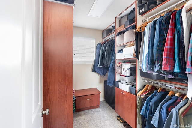 spacious closet with light carpet