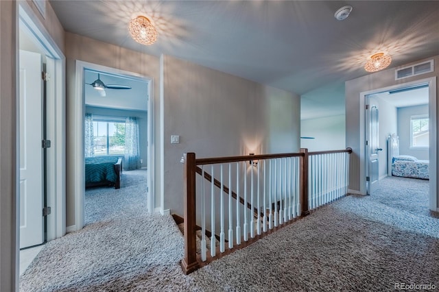 1873 Trevor Cir, Longmont, CO 80501 - photo 18
