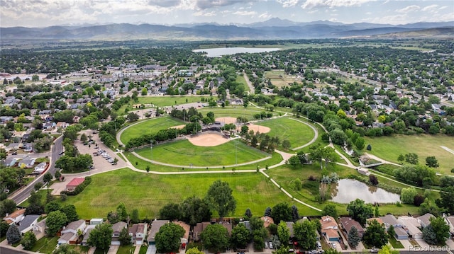 1873 Trevor Cir, Longmont, CO 80501 - photo 41