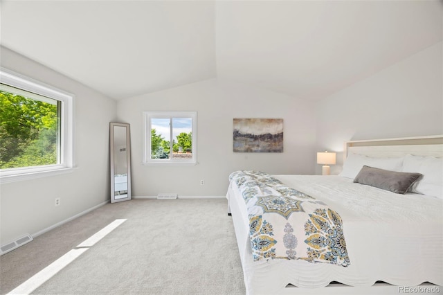 8035 S Garfield Way, Centennial, CO 80122 - bedroom with vaulted ceiling, carpet, and baseboards