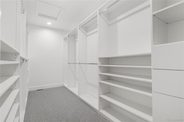 10 Summit Ash, Littleton, CO 80127 - spacious closet with carpet and attic access