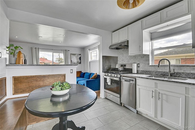 kitchen featuring under cabinet range hood, stainless steel appliances, white cabinets, and a sink