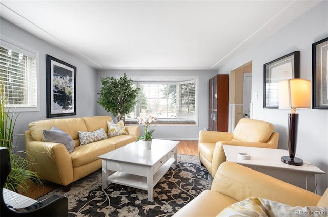 living room featuring wood finished floors