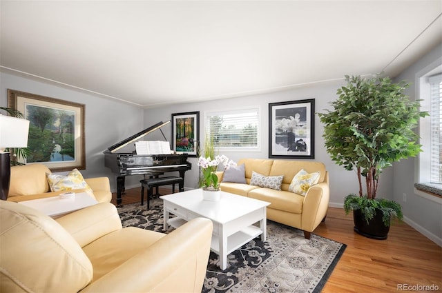 living area featuring baseboards and wood finished floors