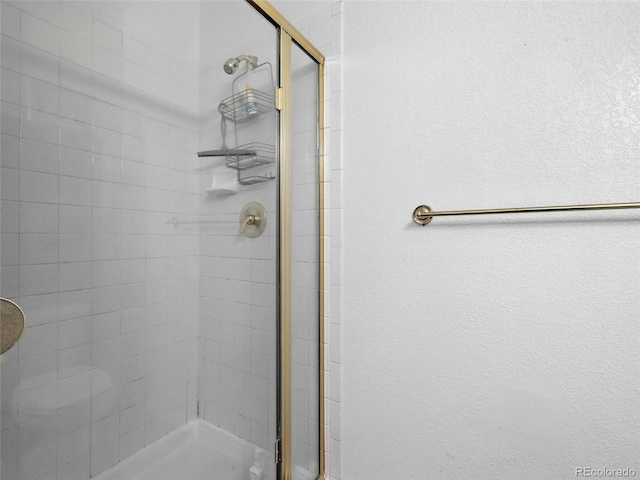 bathroom with a shower stall