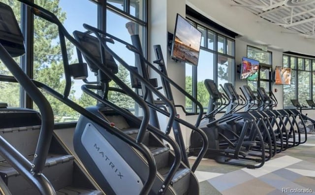 gym featuring a wealth of natural light