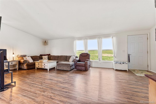 living room featuring hardwood / wood-style floors