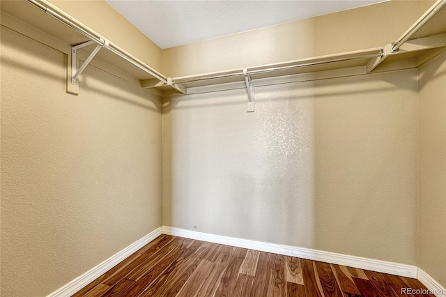 walk in closet featuring hardwood / wood-style floors