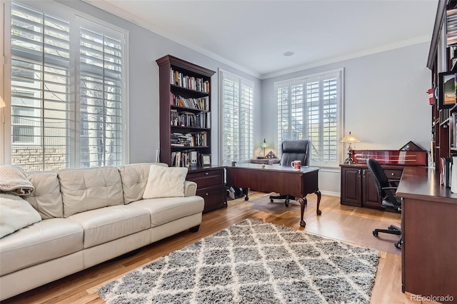 office space with ornamental molding and wood finished floors