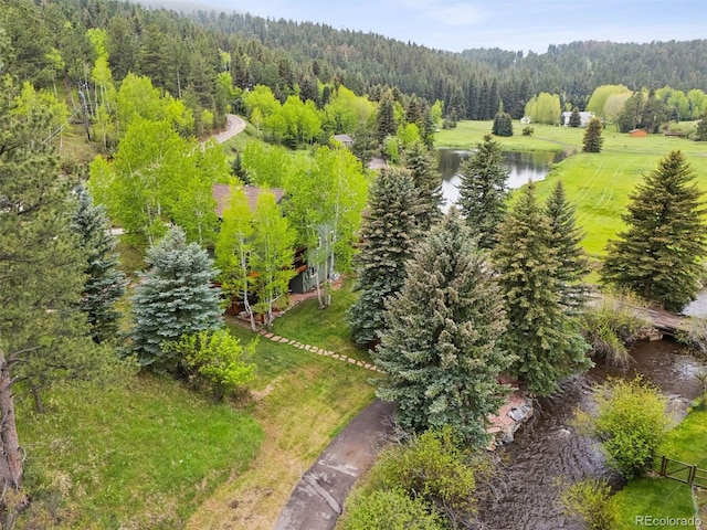 4230 S Meadow Brook Ln, Evergreen, CO 80439 - aerial view of a forest and a large body of water