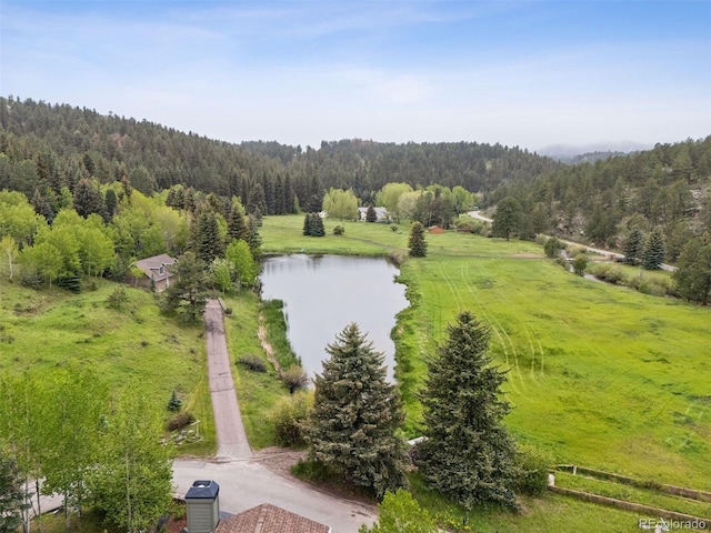 4230 S Meadow Brook Ln, Evergreen, CO 80439 - aerial view of a forest and a large body of water