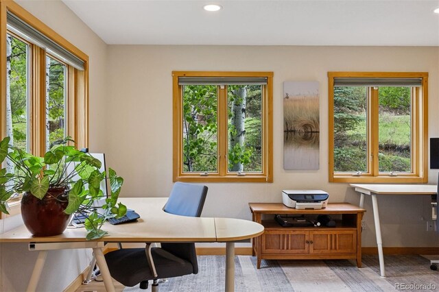 4230 S Meadow Brook Ln, Evergreen, CO 80439 - office space featuring healthy amount of natural light, light wood-style floors, recessed lighting, and baseboards