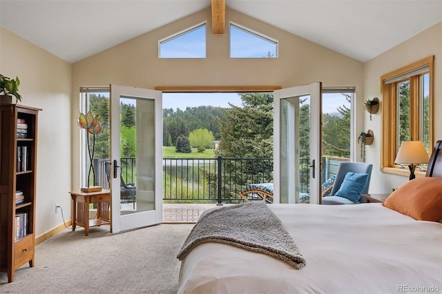 4230 S Meadow Brook Ln, Evergreen, CO 80439 - carpeted bedroom with access to exterior, vaulted ceiling, multiple windows, and baseboards