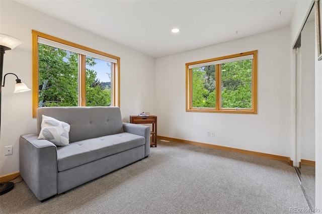 4230 S Meadow Brook Ln, Evergreen, CO 80439 - living area featuring healthy amount of natural light, carpet floors, baseboards, and recessed lighting