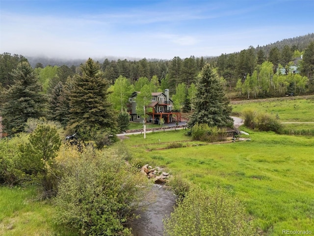 4230 S Meadow Brook Ln, Evergreen, CO 80439 - view of subject property with a forest