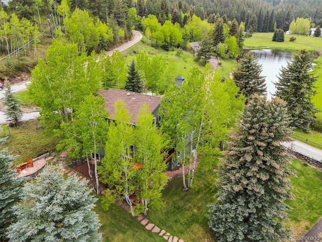 4230 S Meadow Brook Ln, Evergreen, CO 80439 - drone / aerial view of a forest and a large body of water