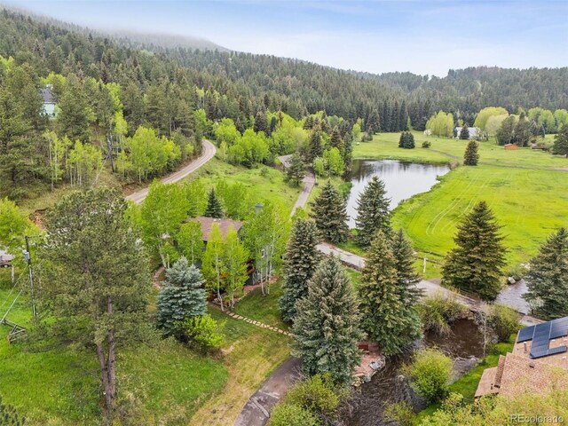 4230 S Meadow Brook Ln, Evergreen, CO 80439 - bird's eye view of a heavily wooded area and a large body of water