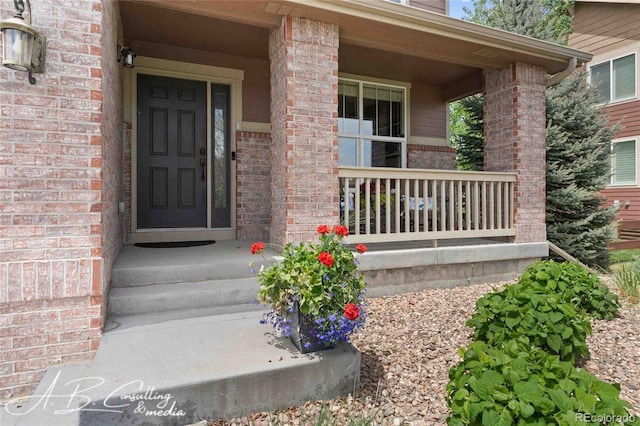1852 E Sea Drift Dr, Windsor, CO 80550 - property entrance featuring brick siding and a porch