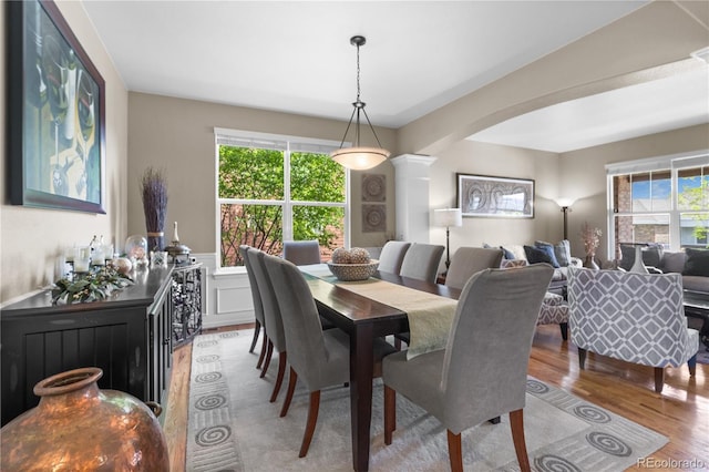 1852 E Sea Drift Dr, Windsor, CO 80550 - dining space with wood finished floors, plenty of natural light, ornate columns, and arched walkways