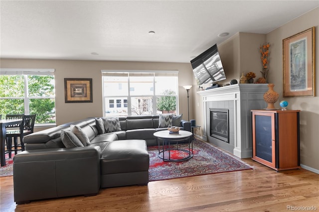 1852 E Sea Drift Dr, Windsor, CO 80550 - living area featuring wood finished floors and a tiled fireplace