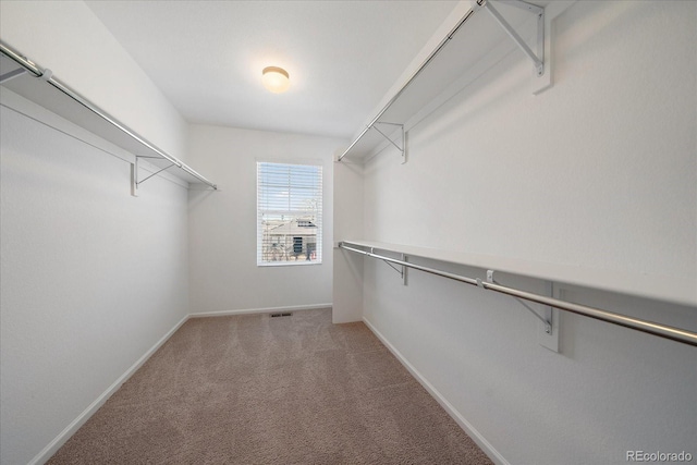 walk in closet with carpet floors and visible vents