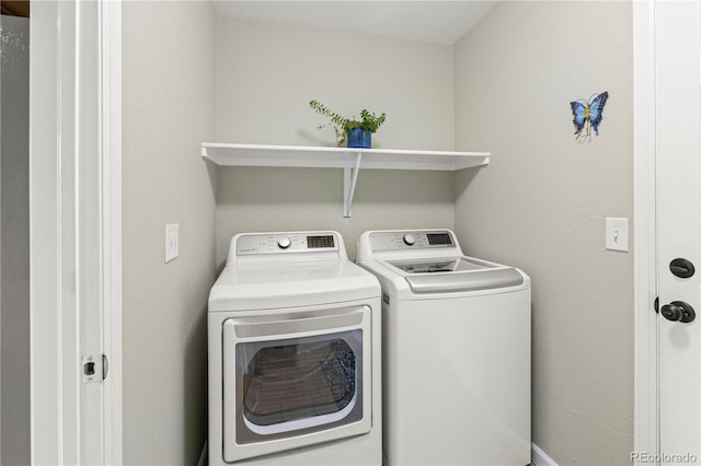 210 Saxony Rd, Johnstown, CO 80534 - photo 12