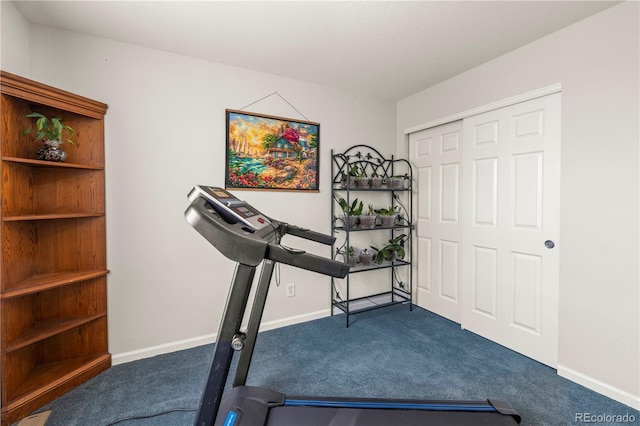 210 Saxony Rd, Johnstown, CO 80534 - photo 26