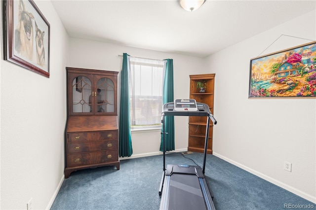 210 Saxony Rd, Johnstown, CO 80534 - photo 27