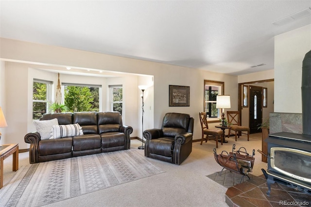 4115 Hay Creek Rd, Colorado Springs, CO 80921 - photo 13