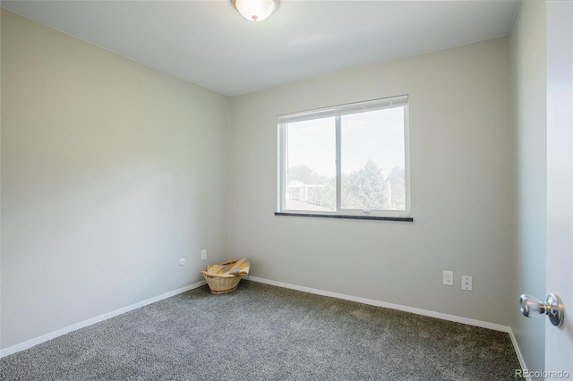 unfurnished room featuring carpet floors