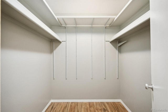 spacious closet with hardwood / wood-style flooring