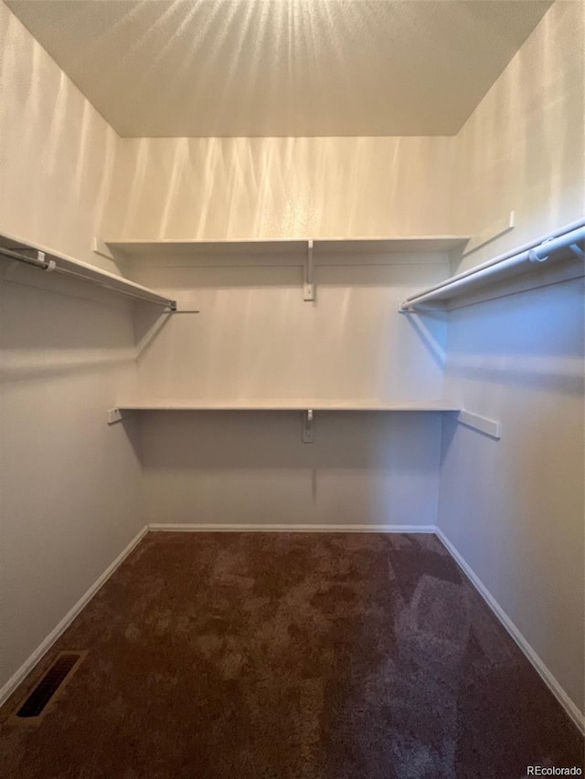 walk in closet with carpet flooring